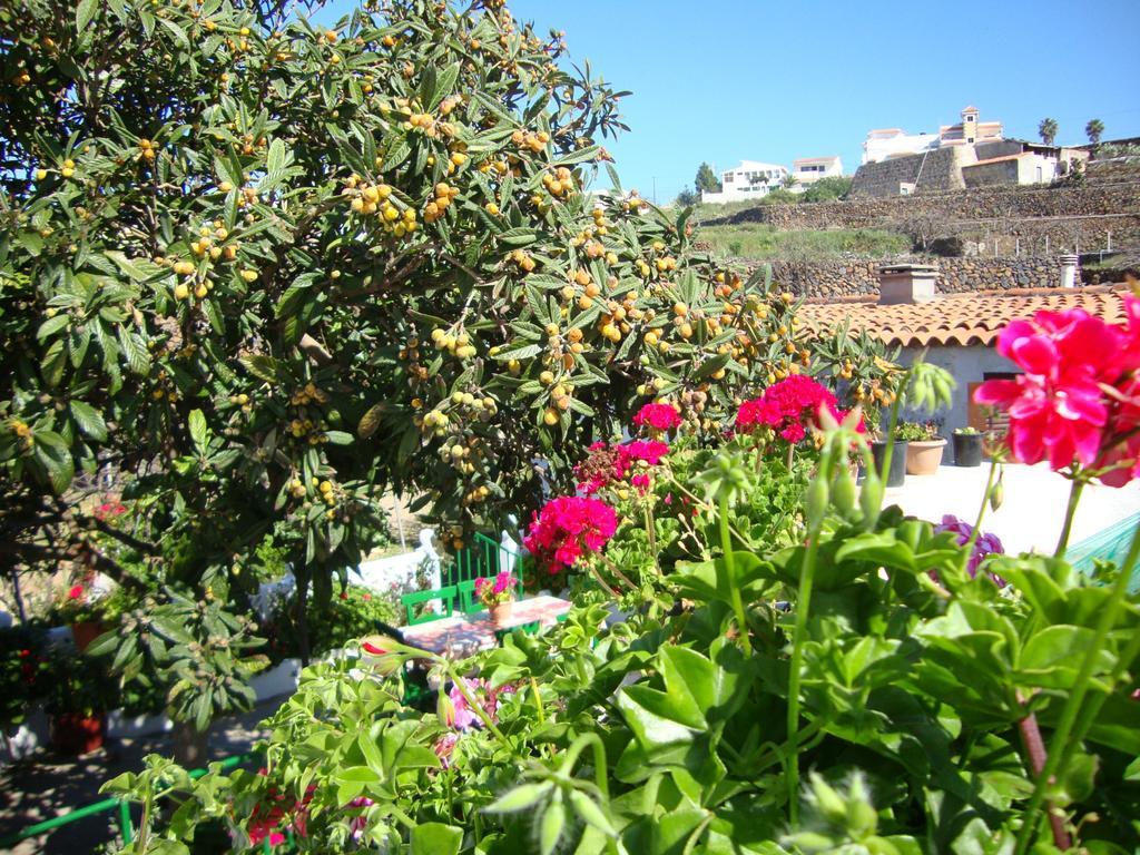 Villa Casa Rural Isabel à Vilaflor Extérieur photo